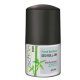 دئورولان مردانه فرش بامبو شون Schon deo roll on Fresh Bamboo