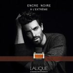عطر لالیک انکر نویر ای ال اکستریم lalique encre noire a l extreme