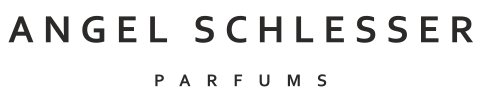 Angel-Schlesser-logo
